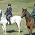 Freedom Reigns Ranch Benefit Hunter Pace